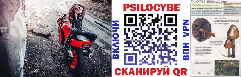 Псилоцибиновые грибы GOLDEN TEACHER  Горячий Ключ 